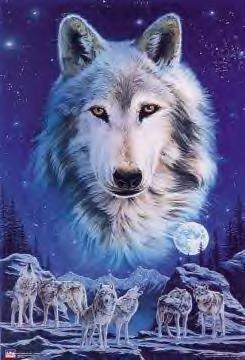 loup